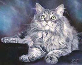 Maine-Coon-Kater-40x50cm200